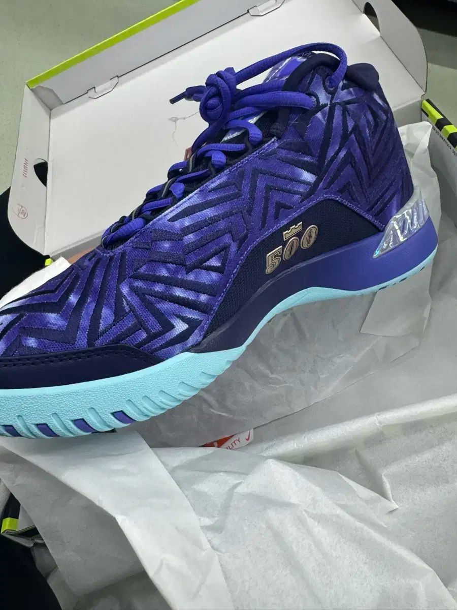 ナイキ レブロン NXXT Gen モノポリ 265