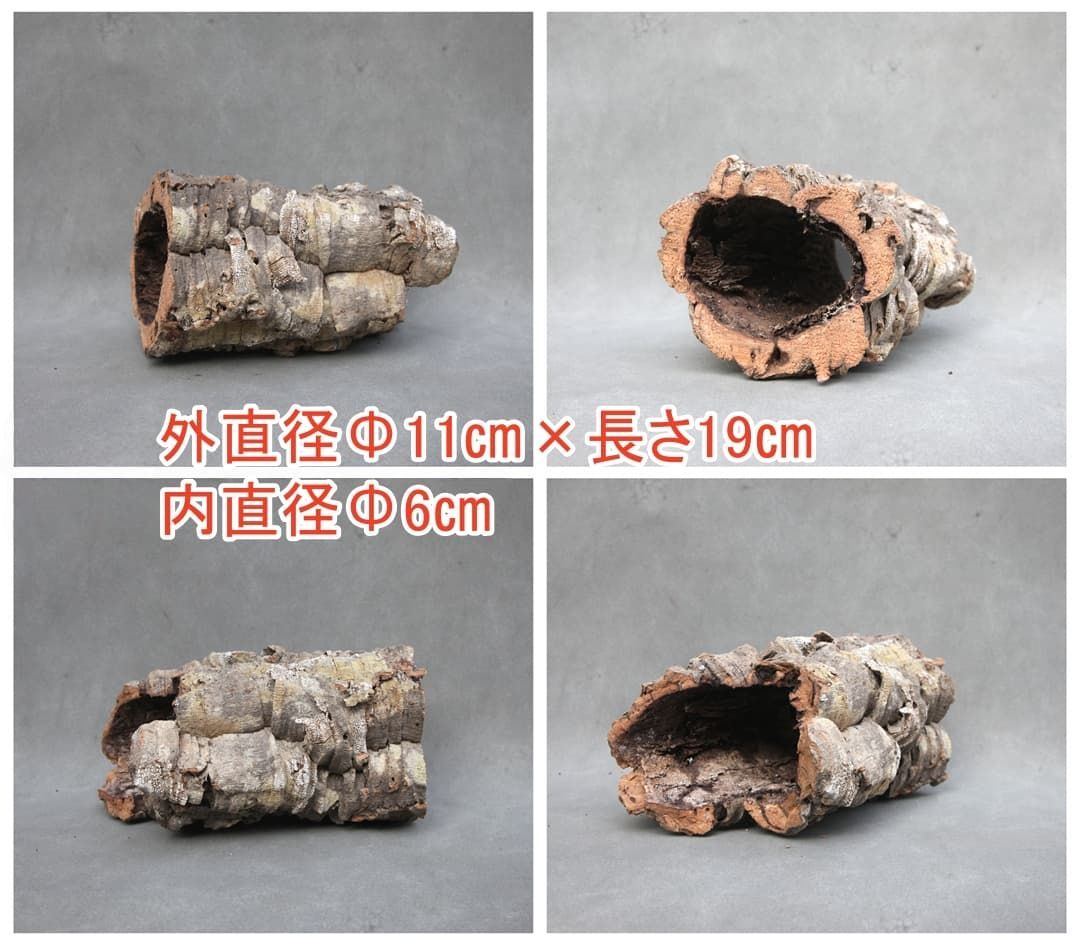 OLIVE des OLIVE スカート 25121002