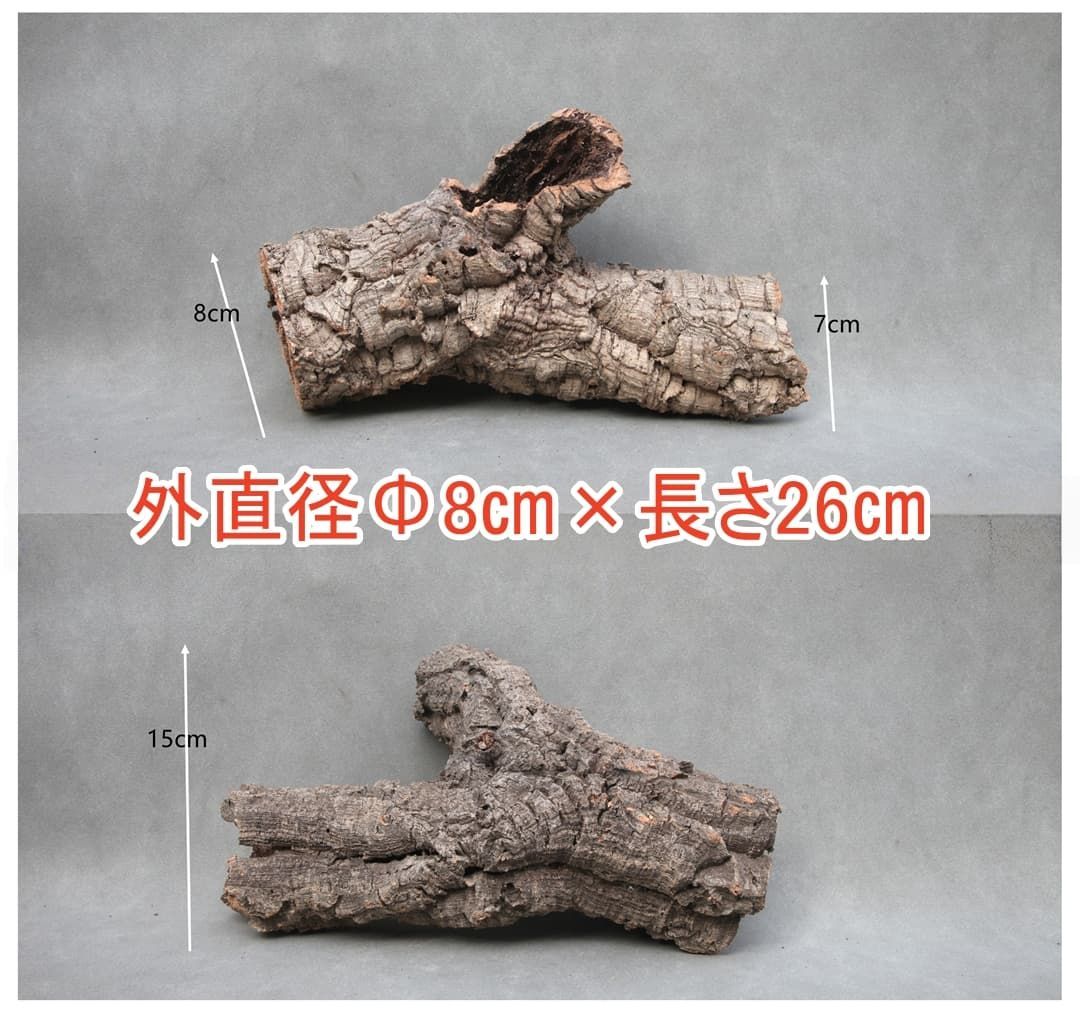 W439 ポルトガル産 キャノンコルク コルク樹皮 コルク板 バージン