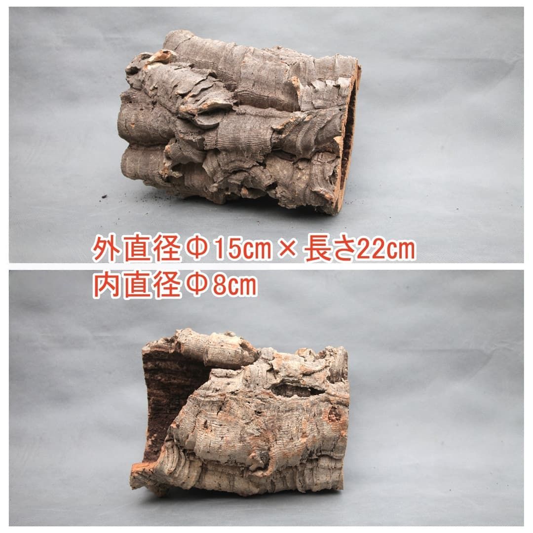 W436 ポルトガル産 キャノンコルク コルク樹皮 コルク板 バージン