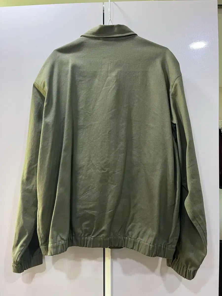 オリーブ スケートボーディング