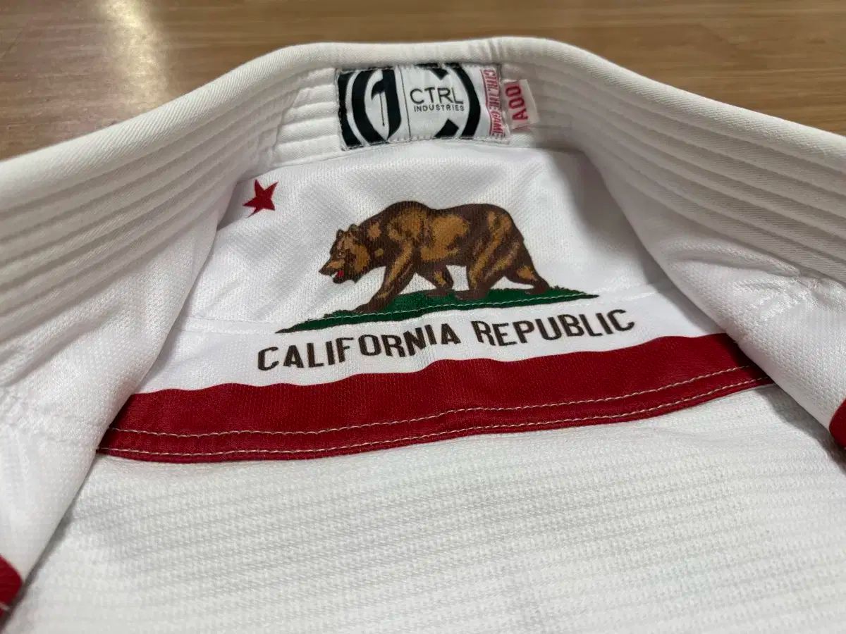 コントロール柔術 Jiu-Jitsu