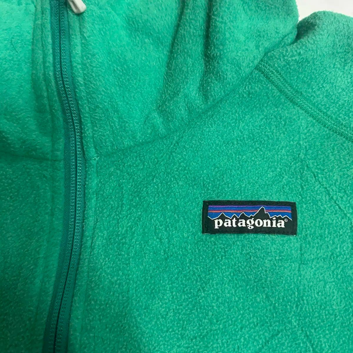 パタゴニア フリース women L