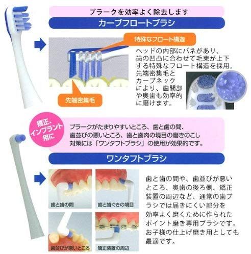 プリニア スマート