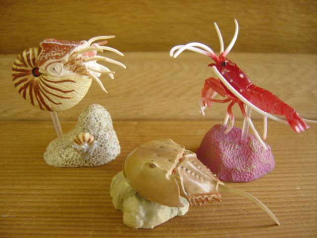 ♯Gpi15GT 生命の鼓動I生態造形図鑑水族館限定Ver人気7種 - メルカリ