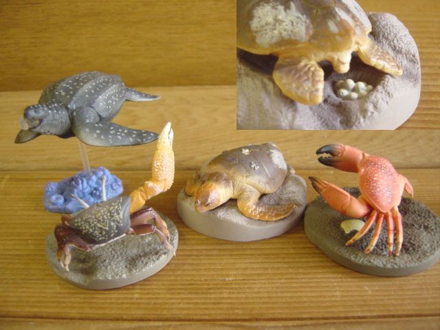 ♯Gpi15GT 生命の鼓動I生態造形図鑑水族館限定Ver人気7種 - メルカリ