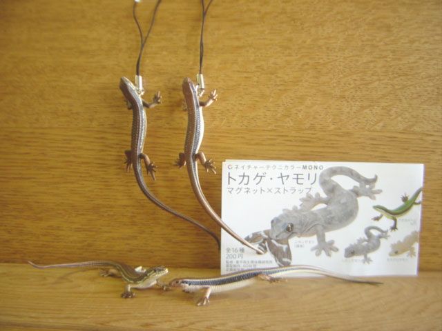♯Gti10JB ネイチャーMONOトカゲヤモリストラップ&マグネット4種