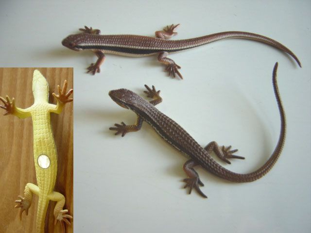 ♯Gti10JB ネイチャーMONOトカゲヤモリストラップ&マグネット4種