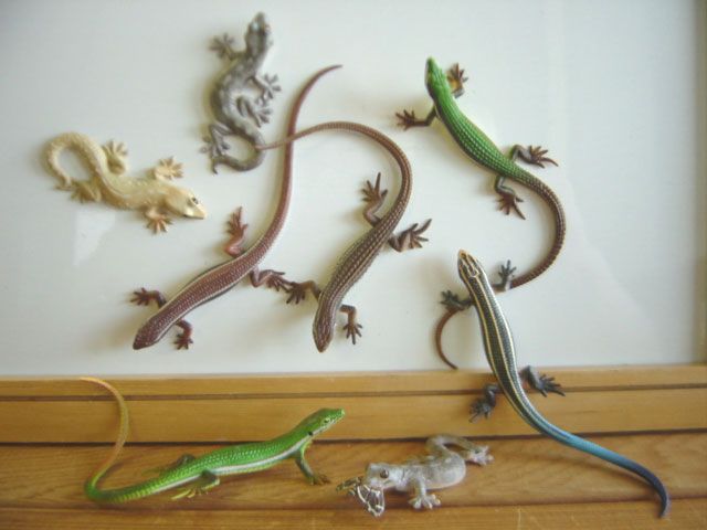 ♯Gti10HO ネイチャーテクニカラー MONO トカゲ ヤモリ マグネット 8種