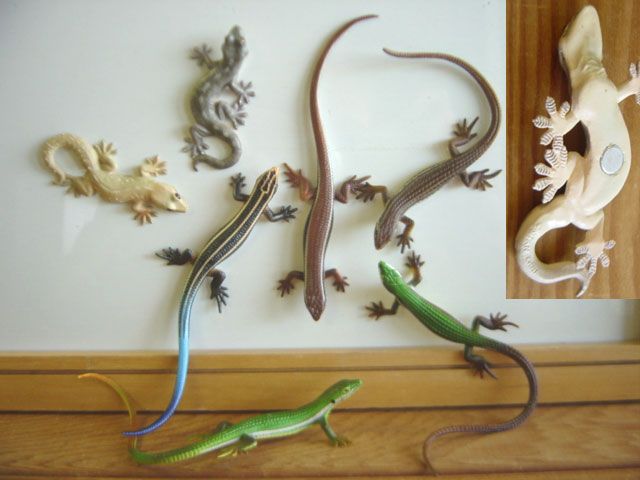 ♯Gti10IV ネイチャー MONO トカゲ ヤモリ ストラップ & マグネット 14