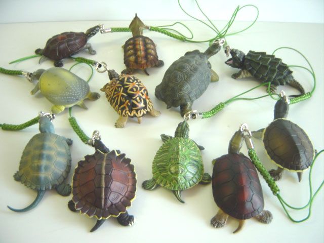 ★Gui23EJ　立体カプセル百科事典原色爬虫類カメ目図鑑根付全15種 ☆Gui23EJ 立体カプセル 百科事典 原色 爬虫類 カメ 目 図鑑 根付 全15