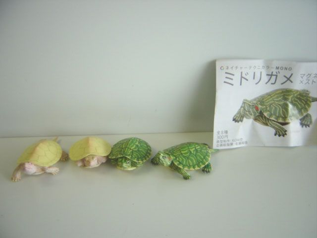 ♯Gyi16QJ ネイチャーテクニカラーMONOミドリガメマグネット全4種