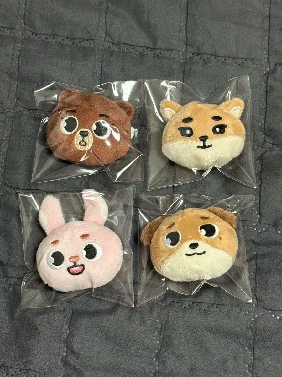 DAY6 FOREVER YOUNG 日本版 缶バッジ まとめ