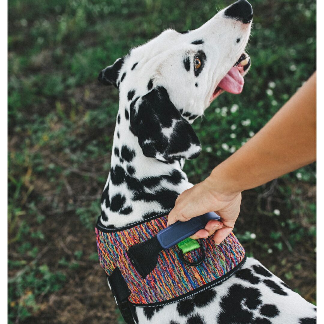 zee.dog ジードッグ FLY HARNESS/フライハーネス VORTEX(ボーテックス