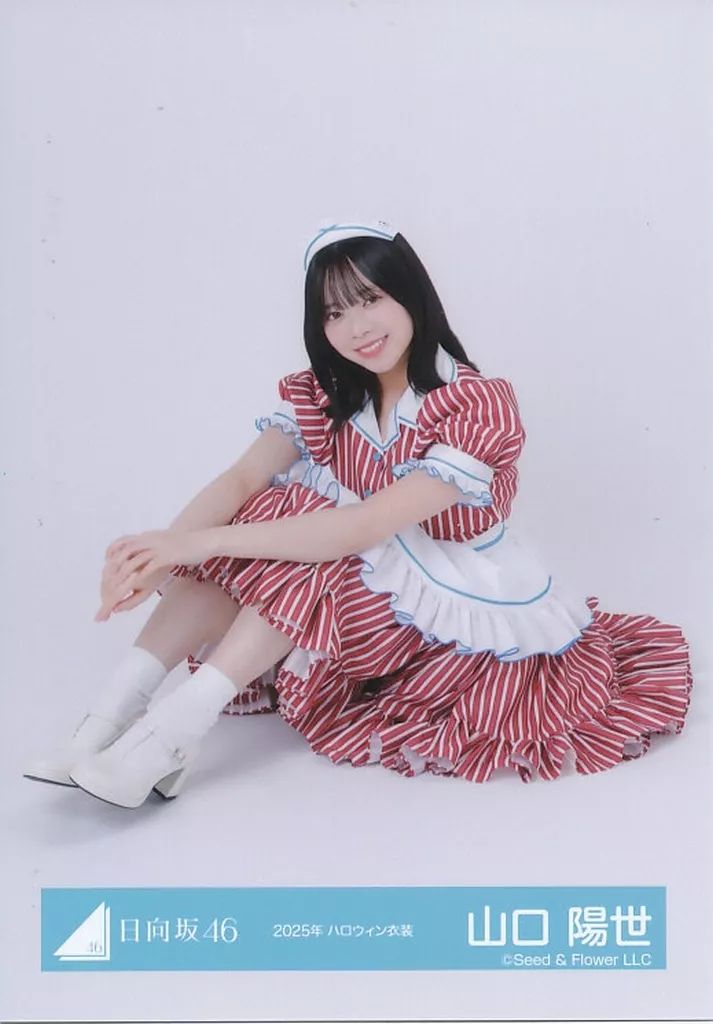 山口陽世 生写真 324枚 81コンプ +おまけ 山口陽世 生写真 324枚 81コンプ +おまけ 山口陽世 生写真 324枚