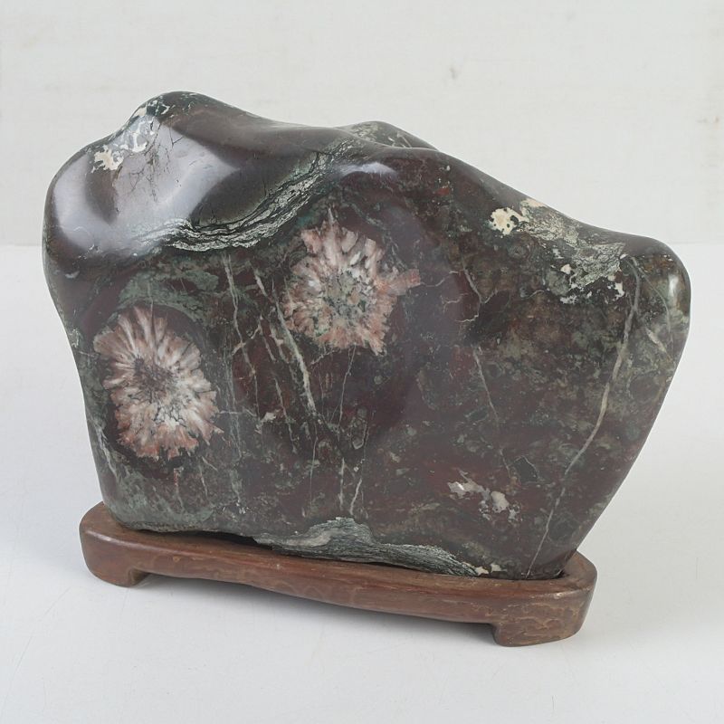 鑑賞石 天然石 菊花石 置物 重さ約2847g 唐木台付 C S305 - メルカリ