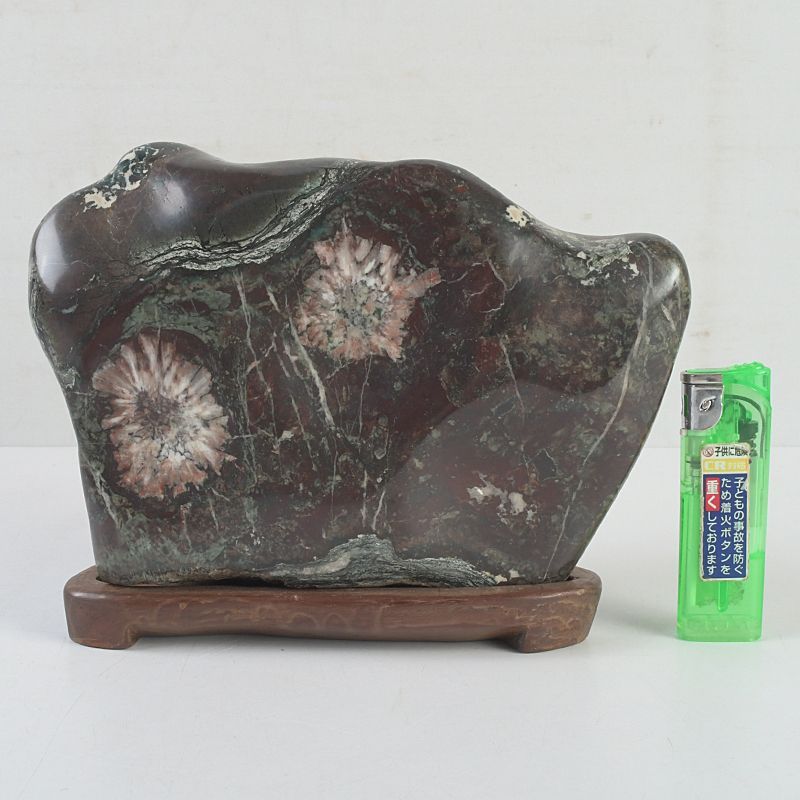 にの　鑑賞石　菊花石　置物　重さ約3019g　唐木台付　C　R6678 鑑賞石 天然石 菊花石 置物 重さ約2847g 唐木台付 C S305 - メルカリ