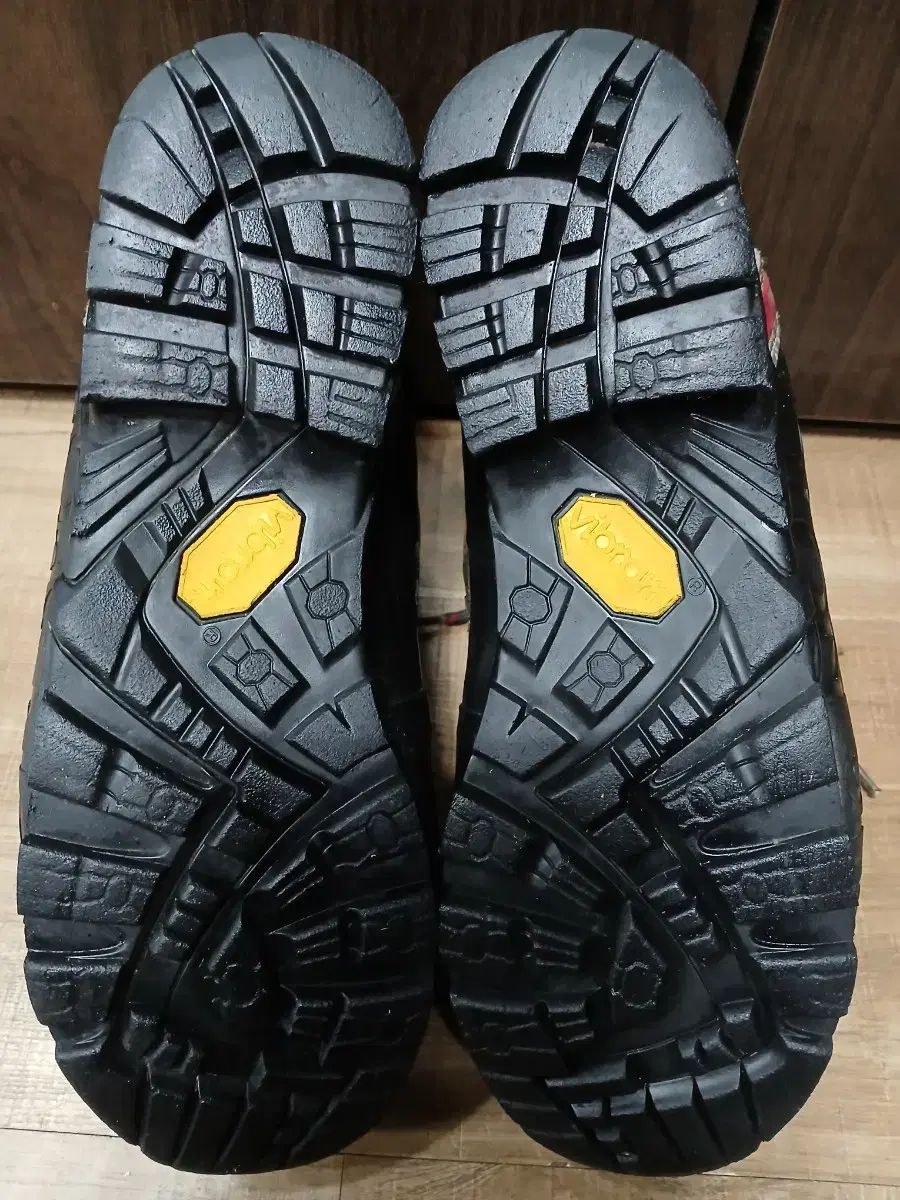 ブラウン レッド