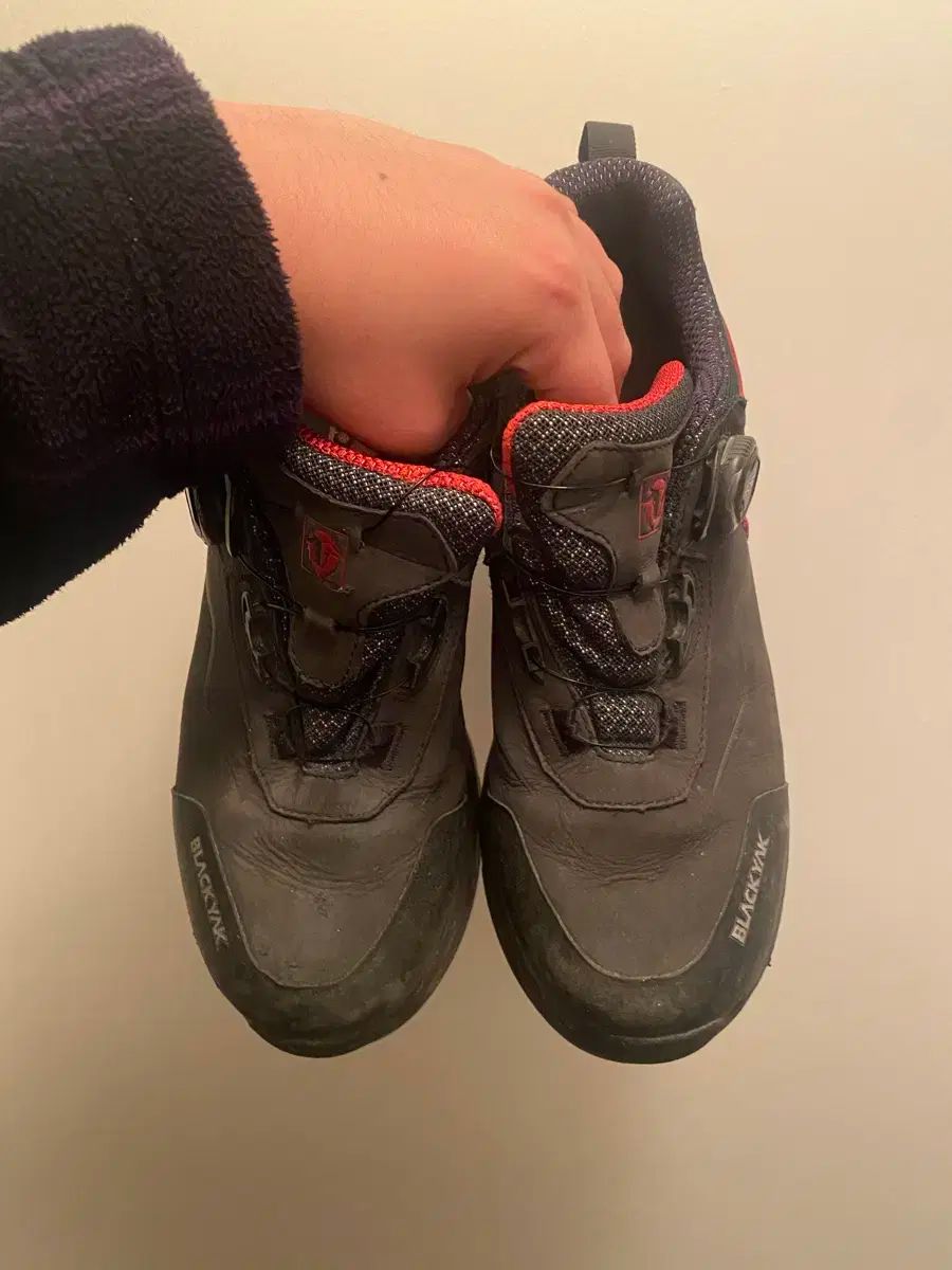 ブラック レディース トレッキングシューズ 260