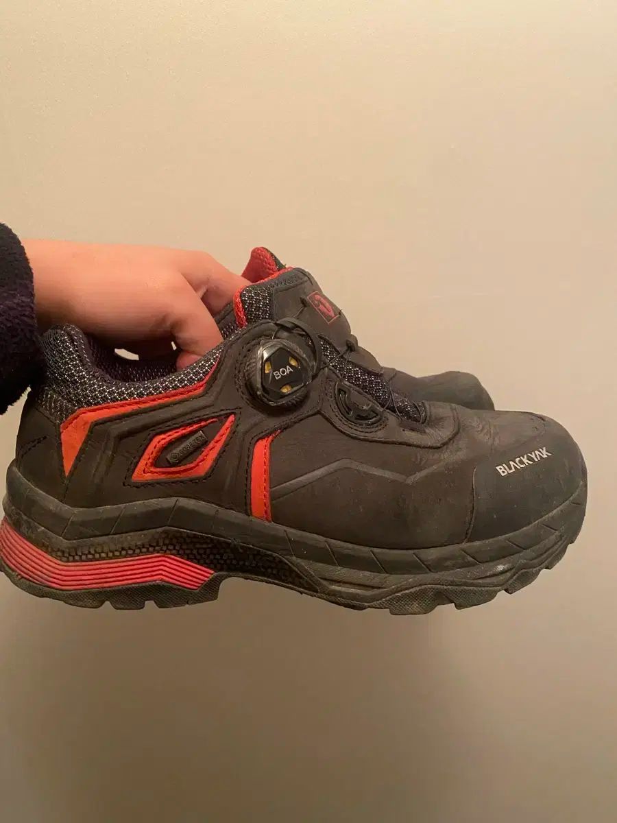 ブラック レディース トレッキングシューズ 260