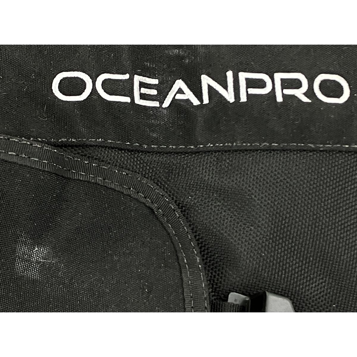 スキューバ ダイビング