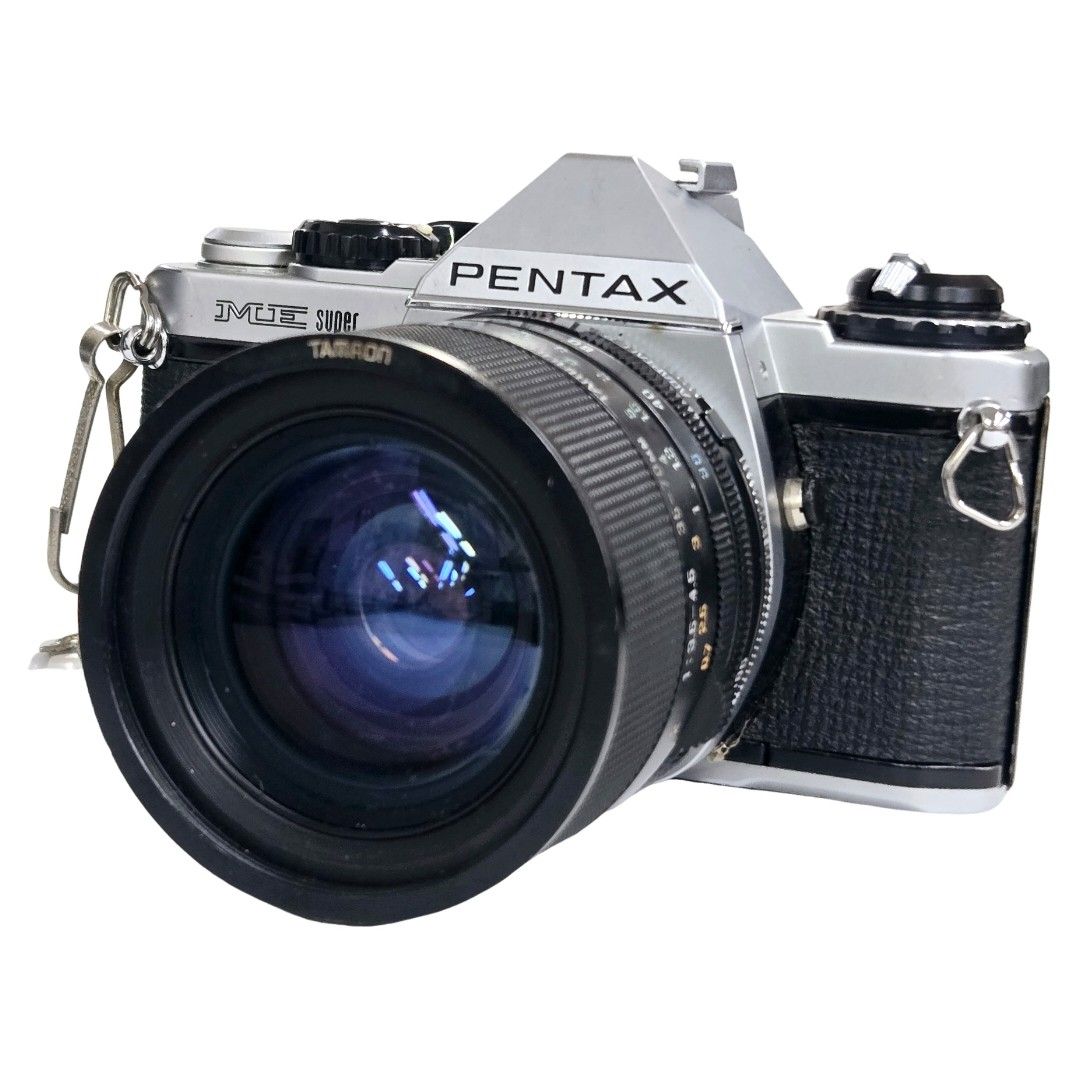 油彩 垣内カツアキ 「富士と紅白梅 F10」 油彩 垣内カツアキ 「富士と