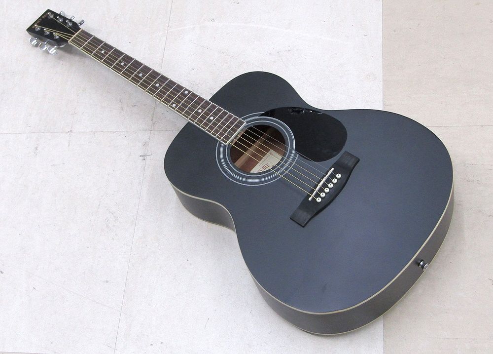 HONEY BEE ハニービー アコースティックギター F-15M/BK マット