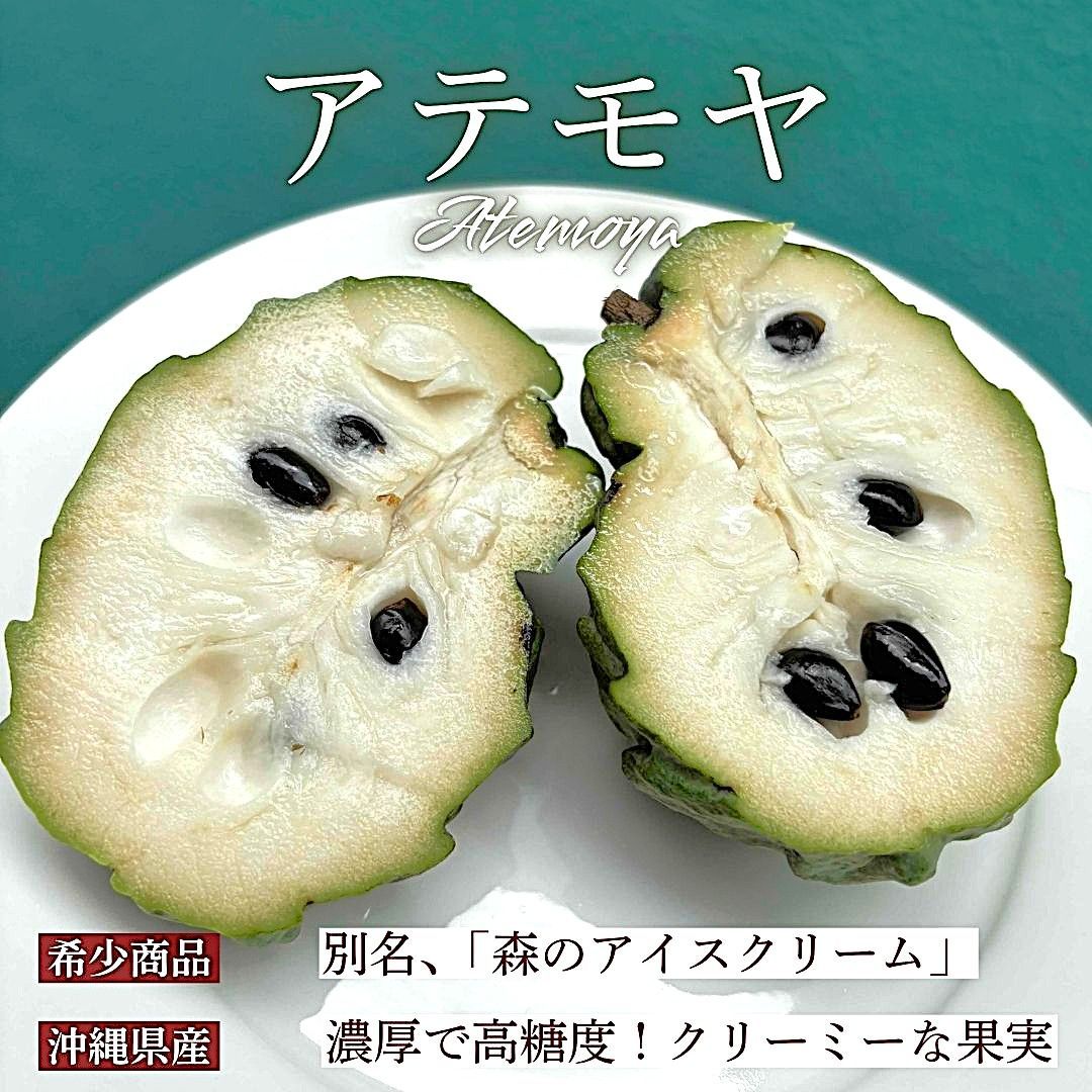 訳ありアテモヤ 1kg 11月～3月発送 - メルカリ