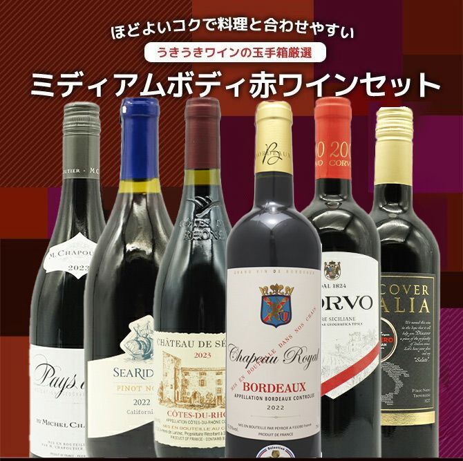 飲料・酒 送料無料 玉手箱厳選 各世界の極上ミディアムボディ飲み比べ赤ワイン6本セット ワインセット