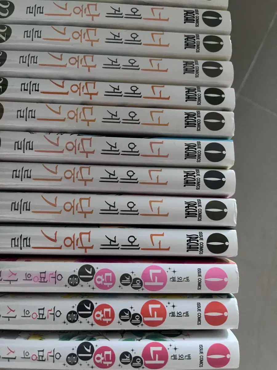 君に届け 漫画 全巻 外伝 FAN BOOK