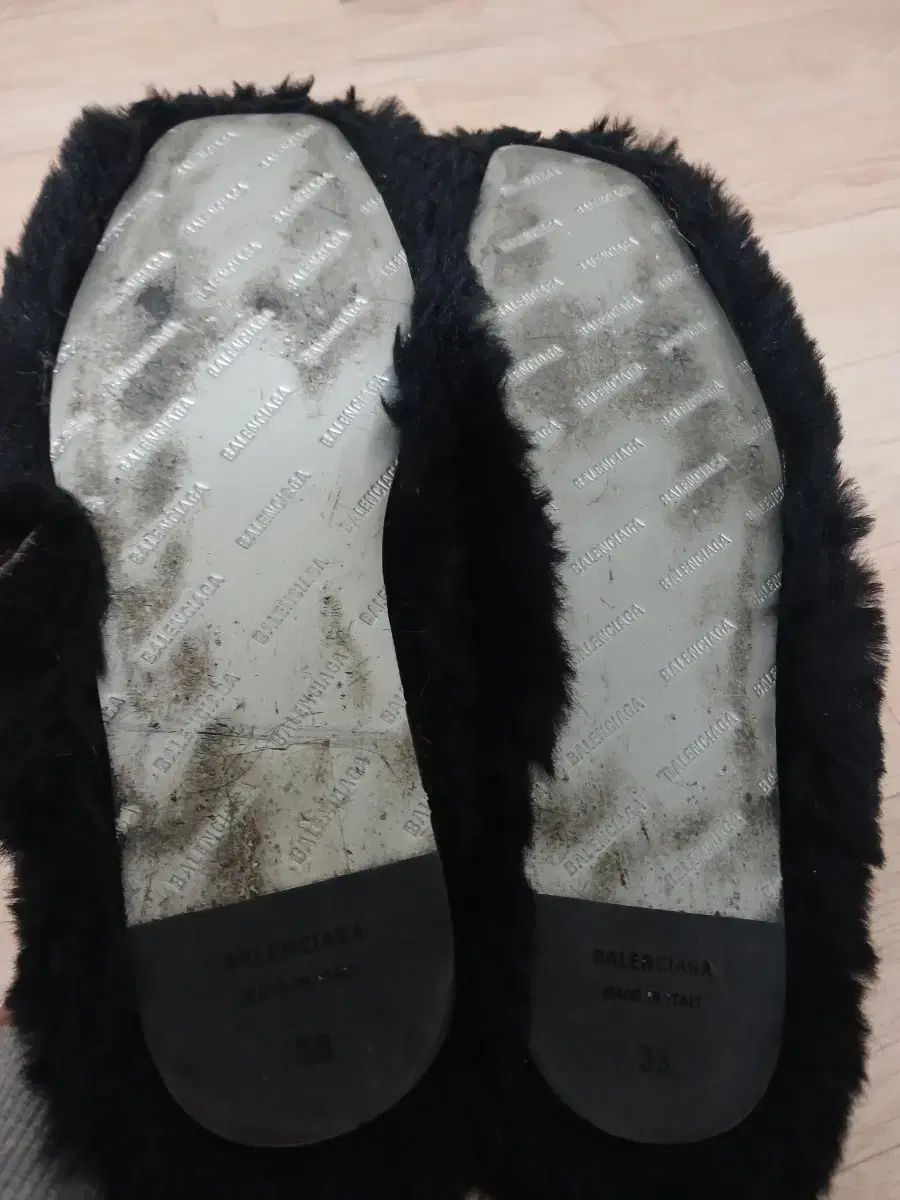 テディミュール 38