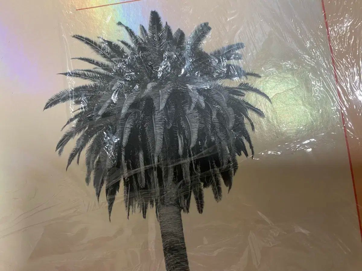 NMIXX エンミックス エンミ フォトブック 迷 Me