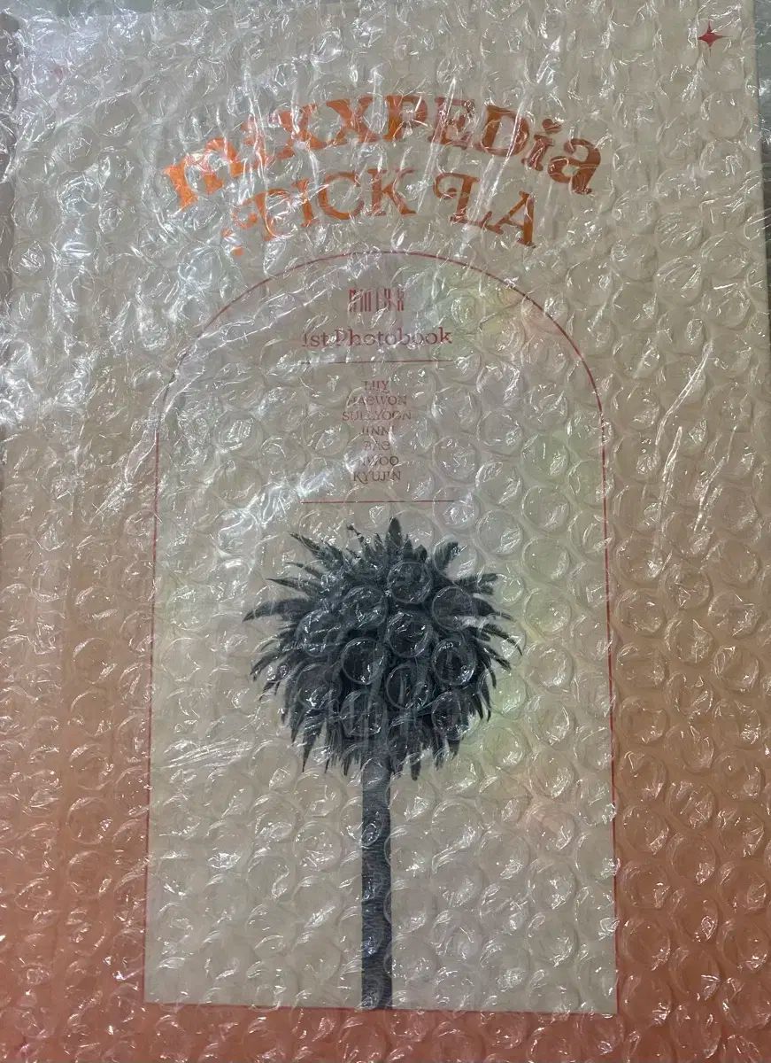 NMIXX エンミックス エンミ フォトブック 迷 Me