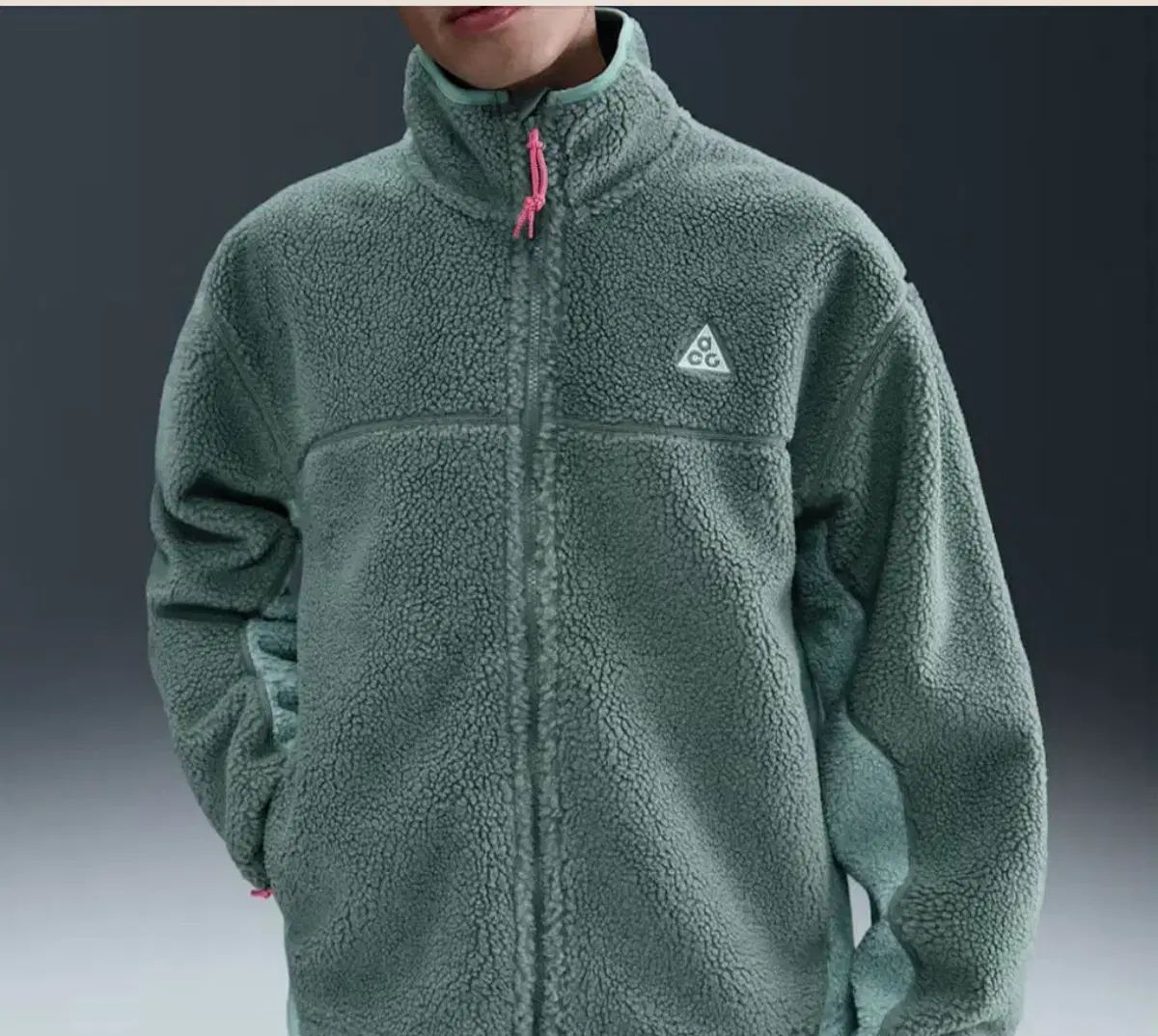 ナイキ ACG フリース キャンウェル 95