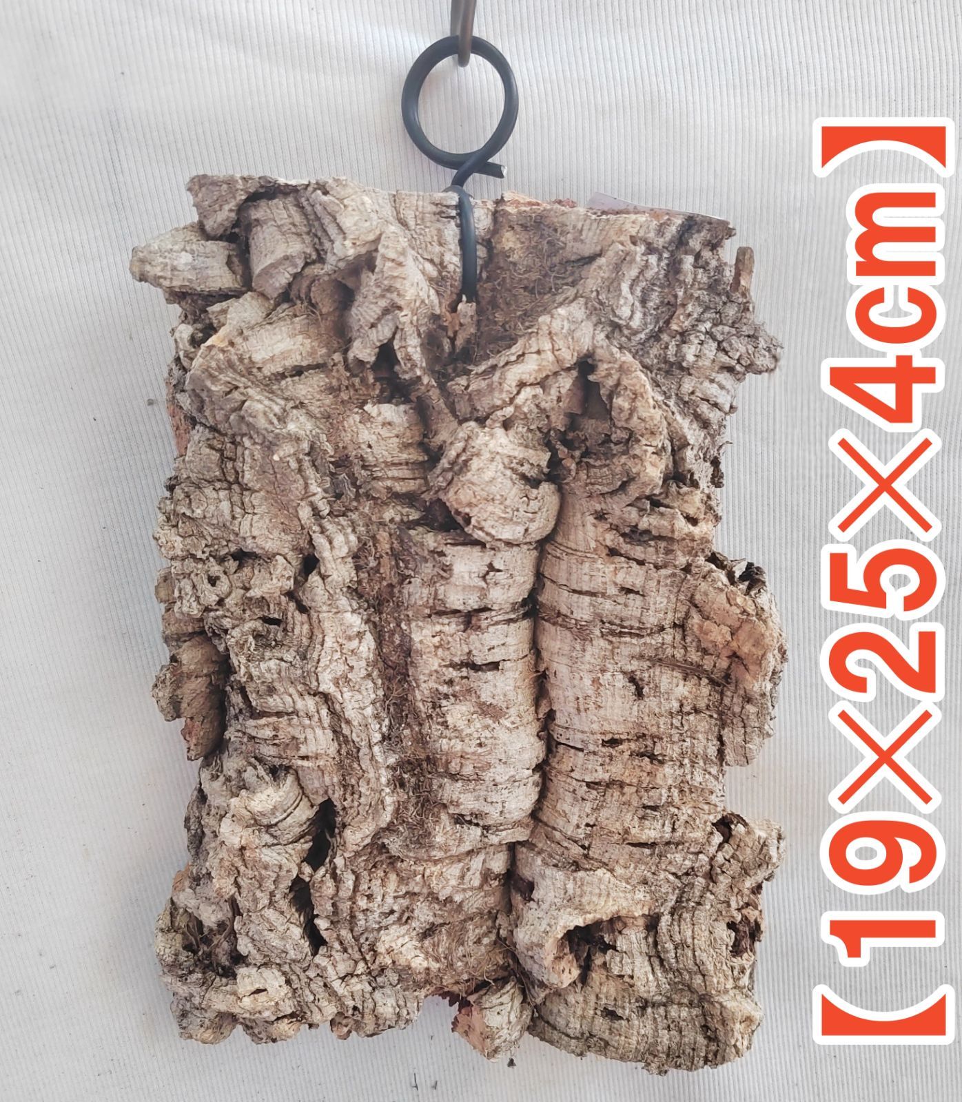 ポルトガル産コルク樹皮 ＰＬ-1002-103Ｌ ポルトガル産コルク樹皮 PL-1002-103L ポルトガル産コルク樹皮 PL