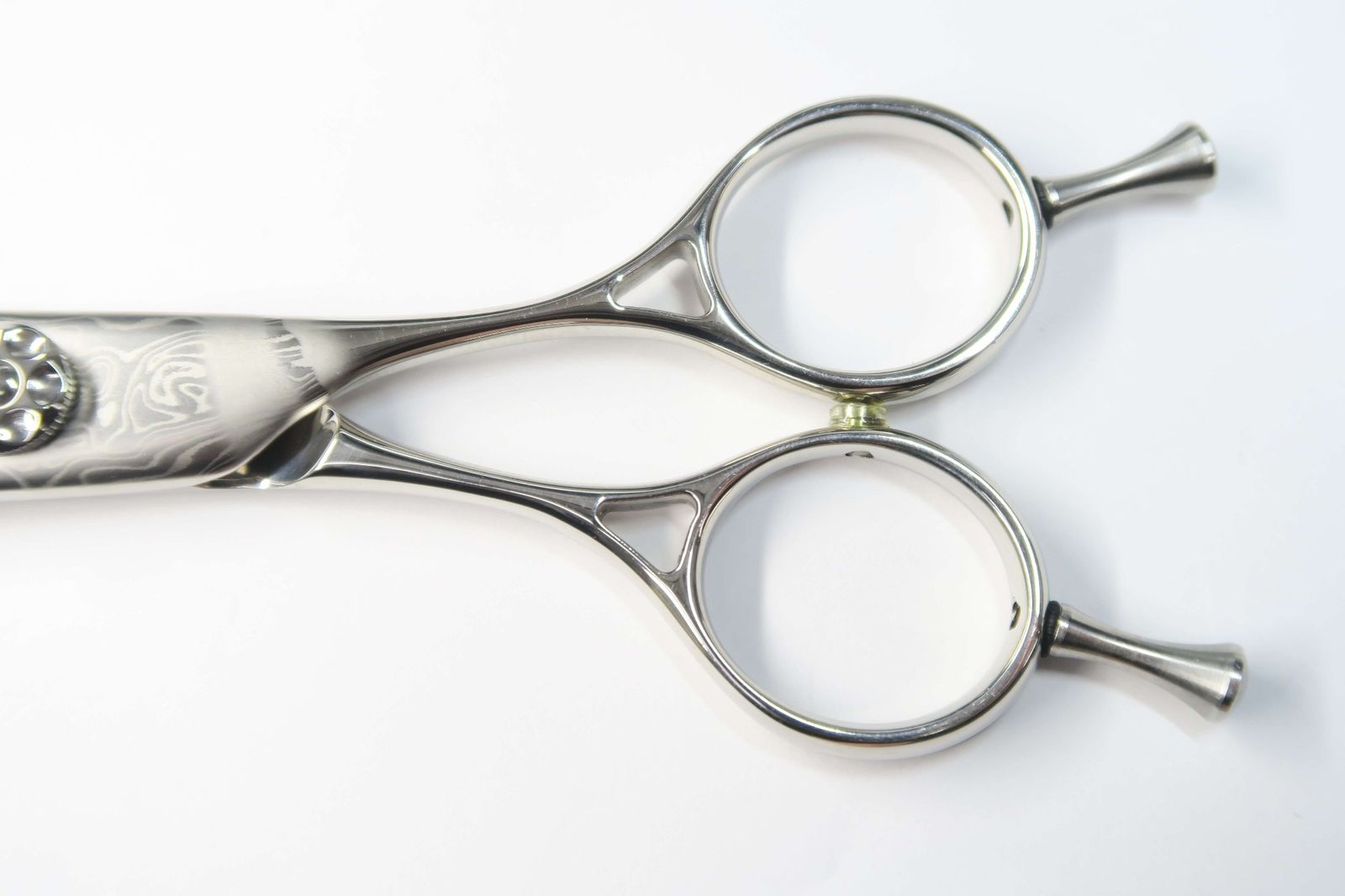 プレデター セニング