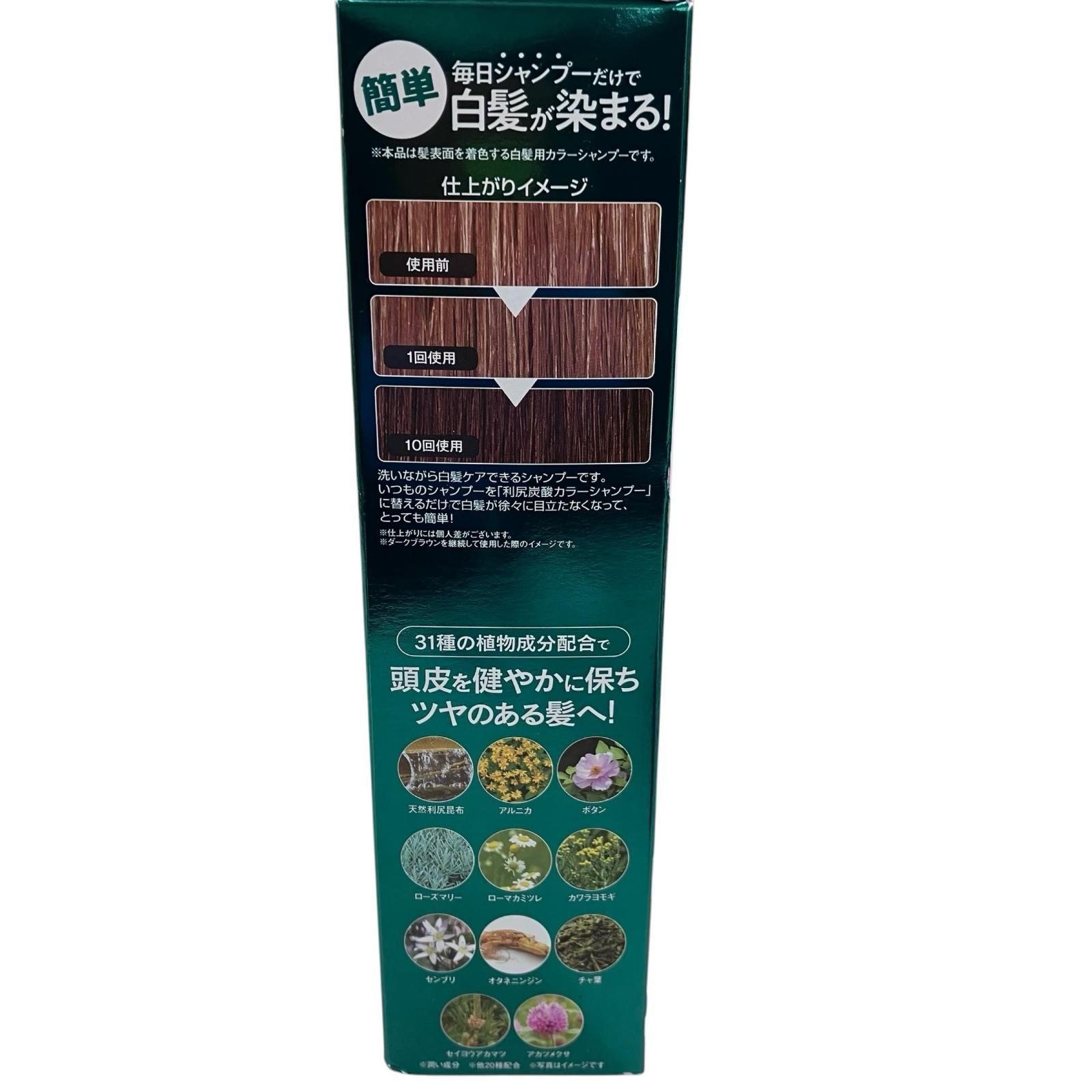 186000 利尻炭酸 カラーシャンプー ダークブラウン 180g 2点まとめ売り