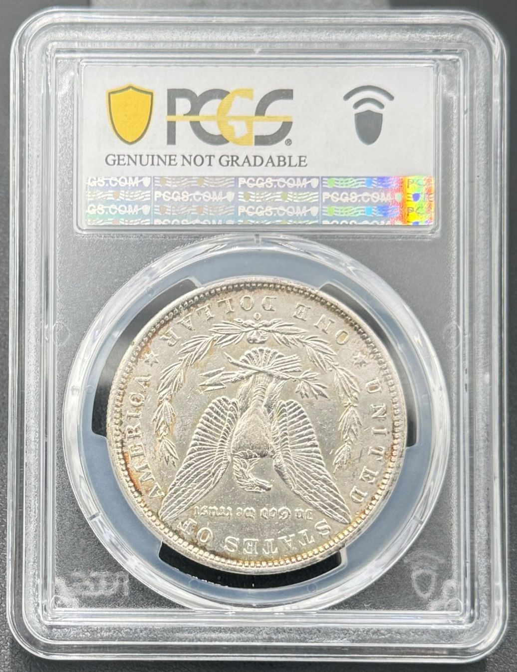 1889(p) モルガンダラー 未使用- 1ドル銀貨 PCGS スラブ アメリカ】1