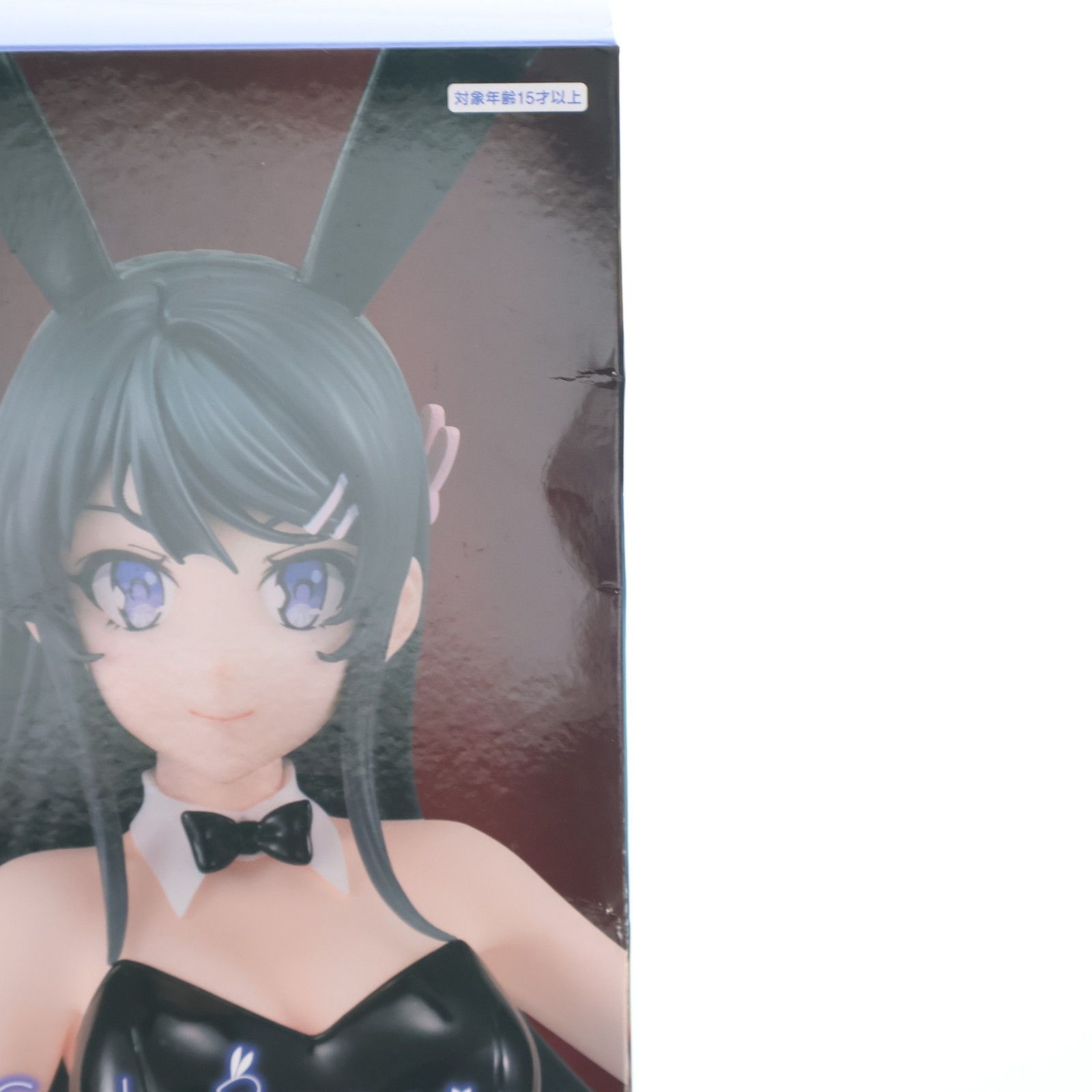 桜島麻衣(さくらじままい) 青春ブタ野郎はバニーガール先輩の夢を見