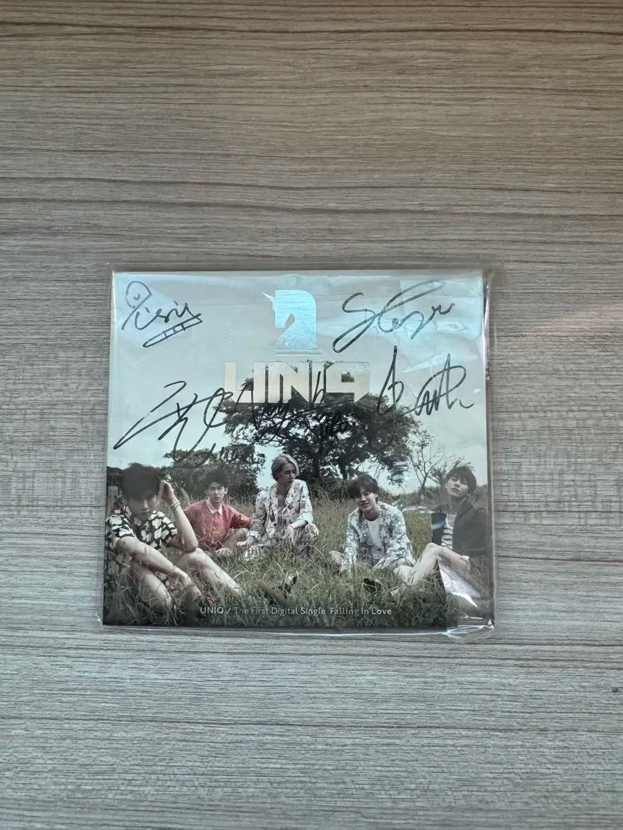 ユニーク デビューアルバム ポール・イン・ラブ サイン入り アルバム