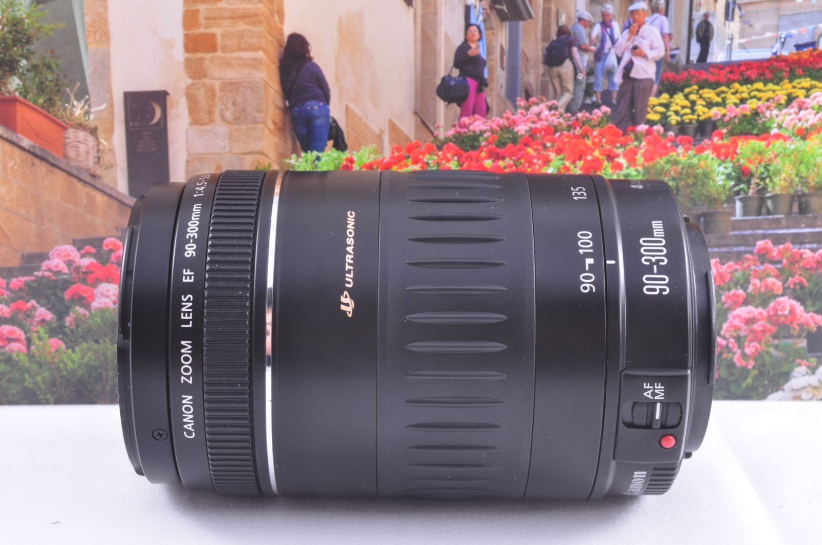 Canon EF 90-300mm F4.5-5.6 USM 望遠ズームレンズ EOS一眼レフ対応