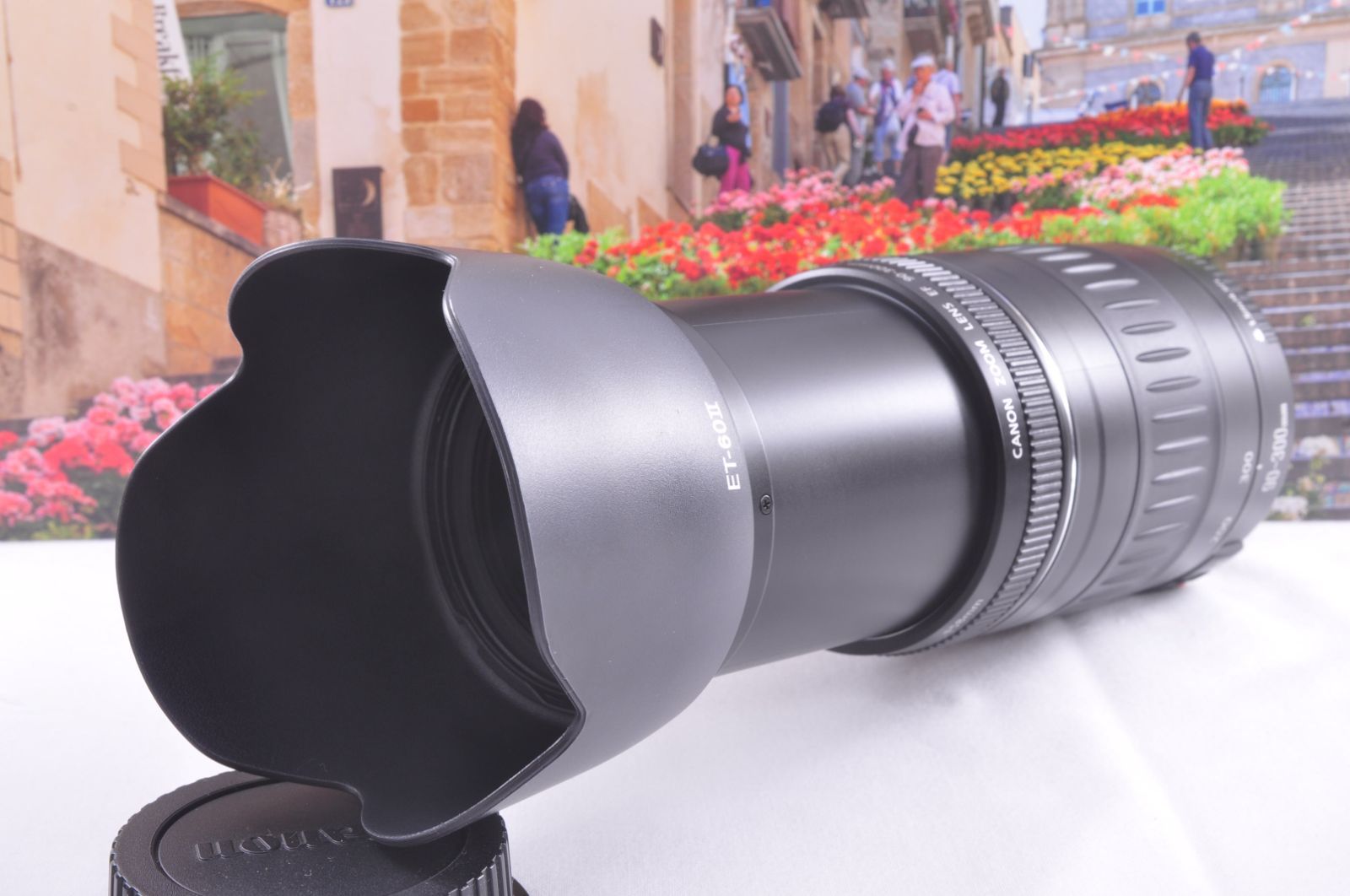 Canon EF 90-300mm F4.5-5.6 USM 望遠ズームレンズ EOS一眼レフ対応