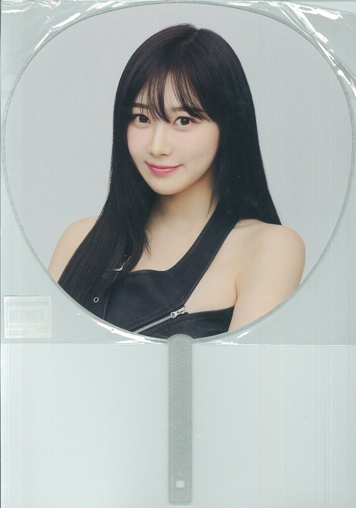 aespa 2024 Synk:PARALLEL LINE in JAPAN GISELLE うちわ DOME Ver