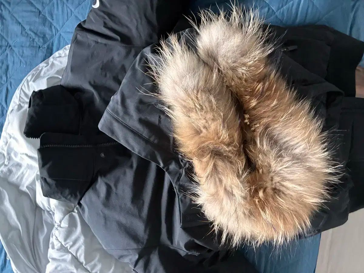 アイダー ストゥーキー