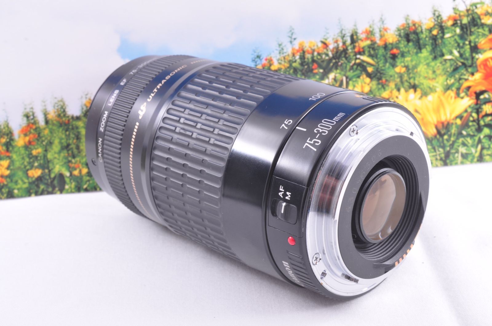 キヤノン EF 75-300mm USM 軽量望遠ズームレンズ 運動会 旅行 ポート