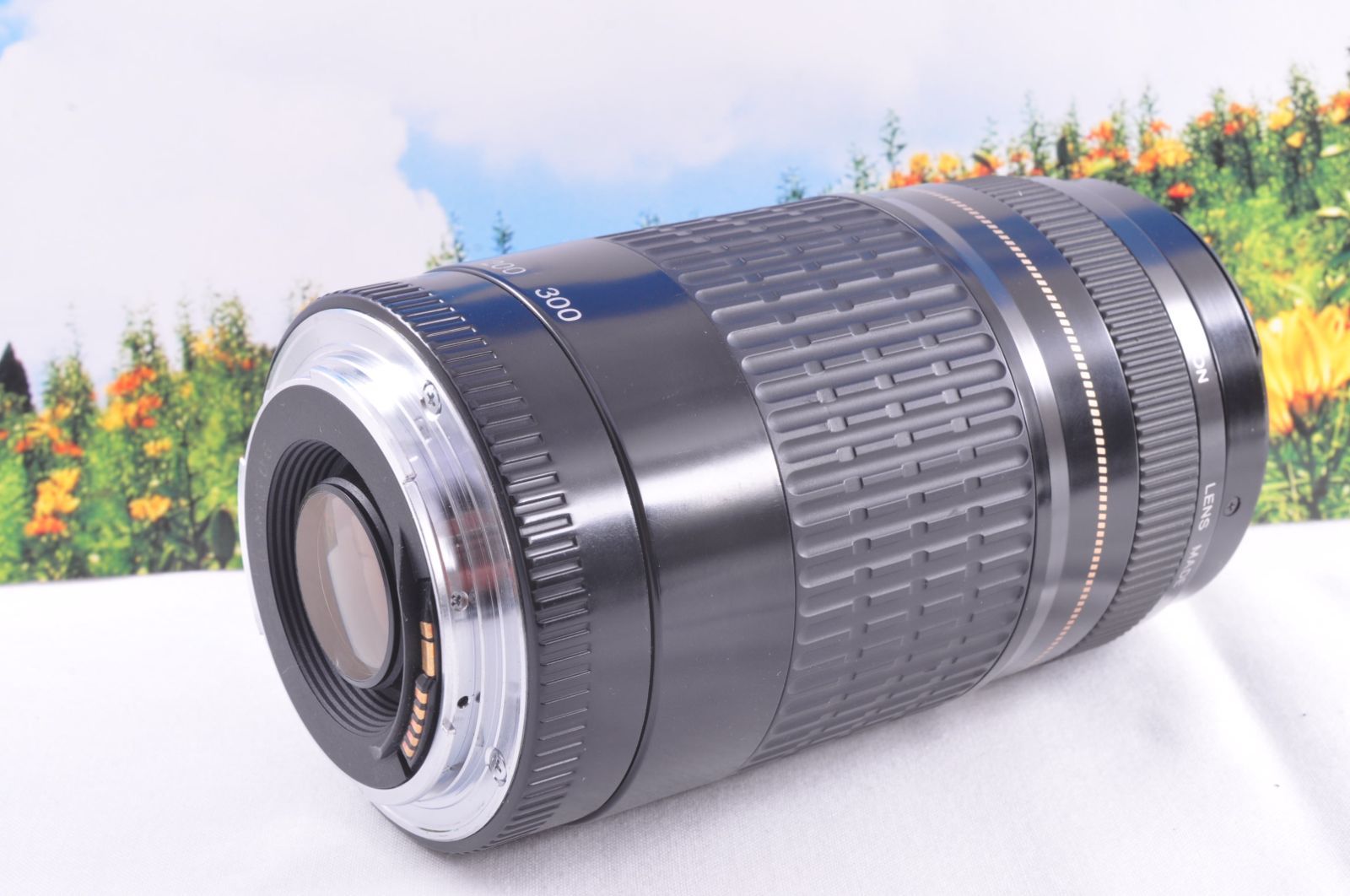 ◇超望遠&高速AF◇ Canon純正 75-300mm I型 望遠レンズ ◇