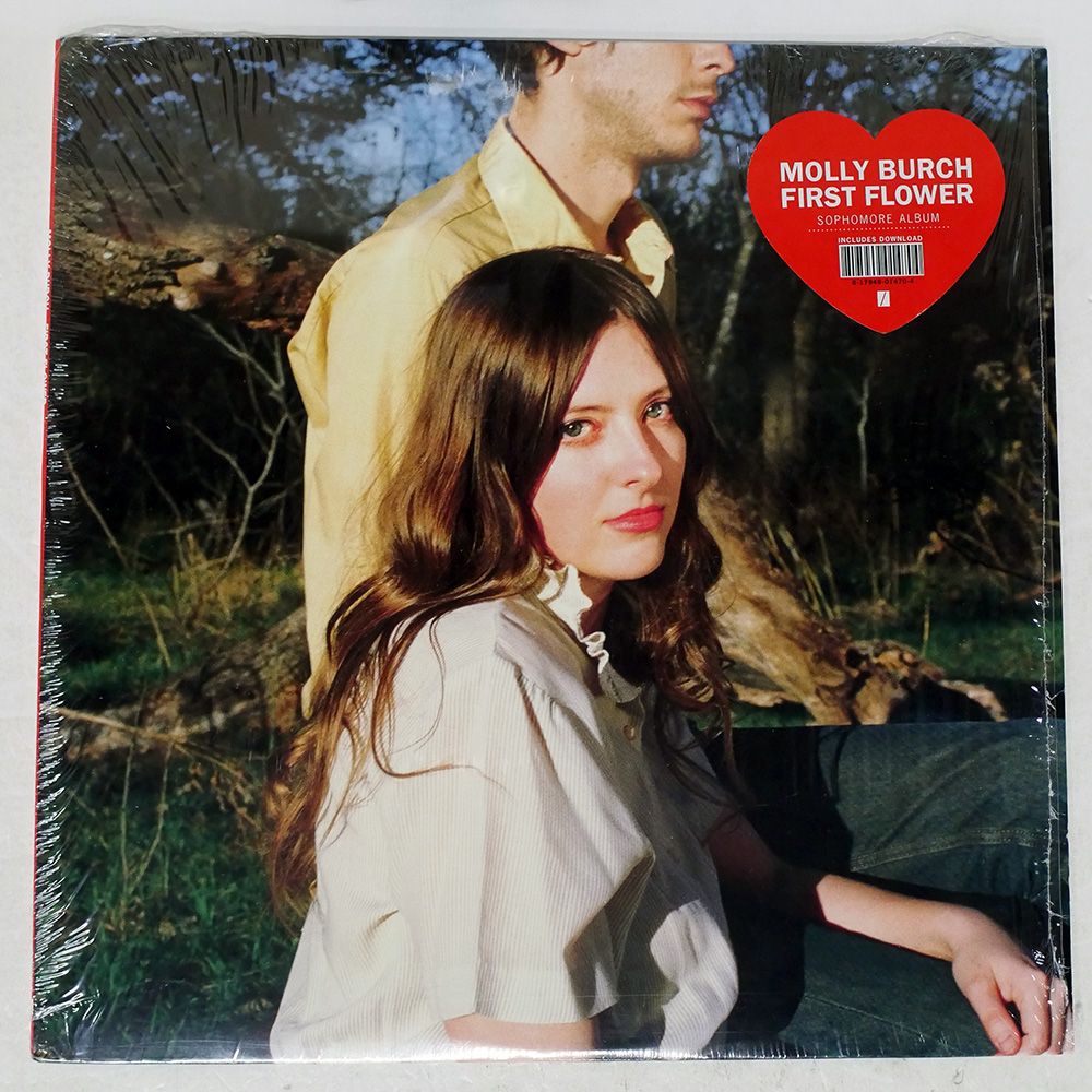 東新化成（株） サンドバード 【ARFキット】 Rc飛行機 販売