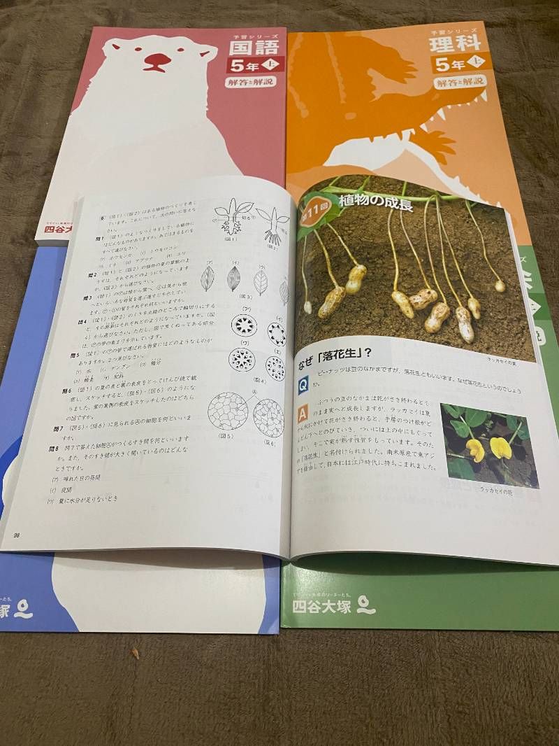 四谷大塚予習シリーズ5年上 四科 - メルカリ