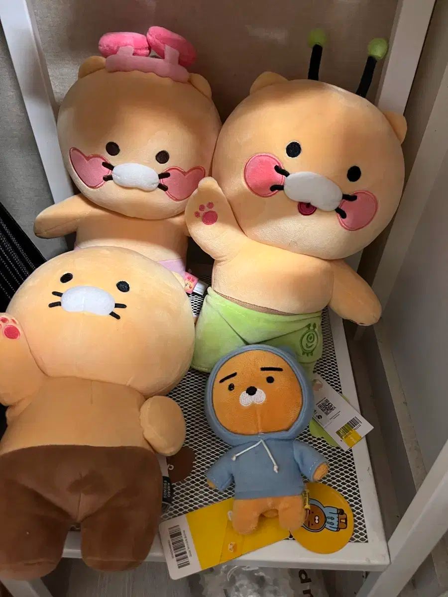 チュンシク 販売 ぬいぐるみ まとめ カカオフレンズ | すべての商品