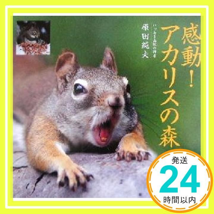 感動アカリスの森: ロッキー山脈の四季 原田 純夫_02